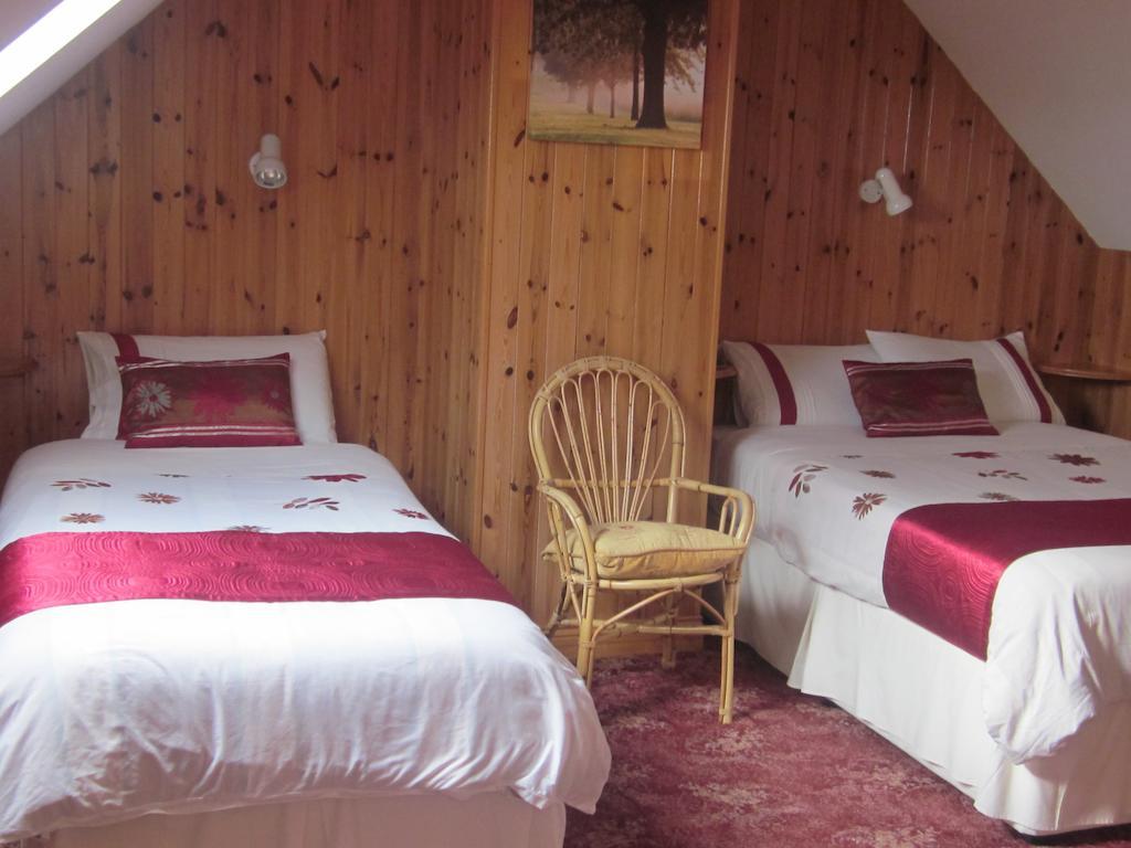 Devanes B&B Дінгл Номер фото